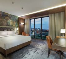 Hilton Garden Inn Yalova Room
