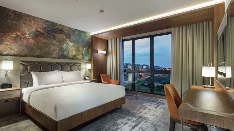 Hilton Garden Inn Yalova Room