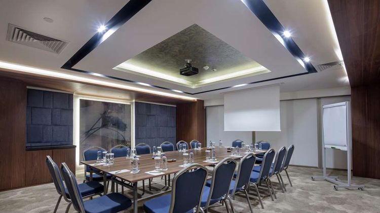 Hilton Garden Inn Yalova Meeting