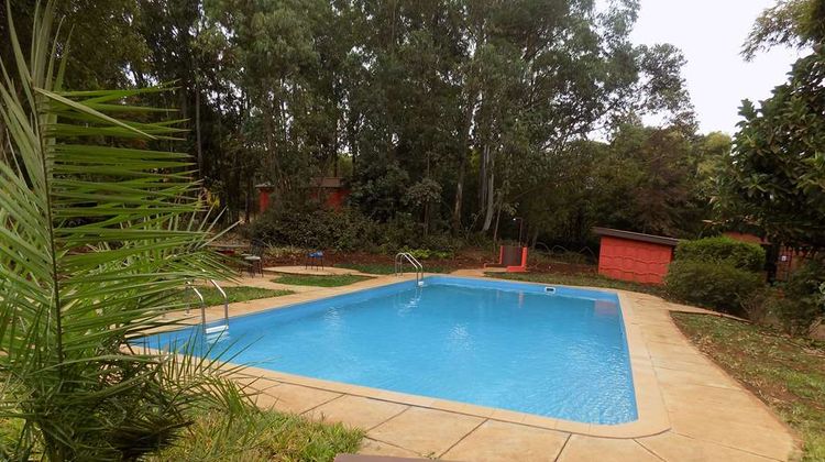 Octagon Lodge, Karatu Pool