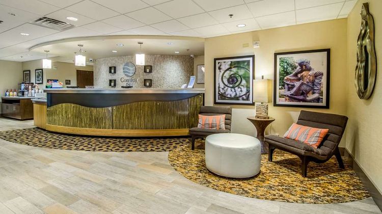Comfort Inn Raleigh Midtown Lobby
