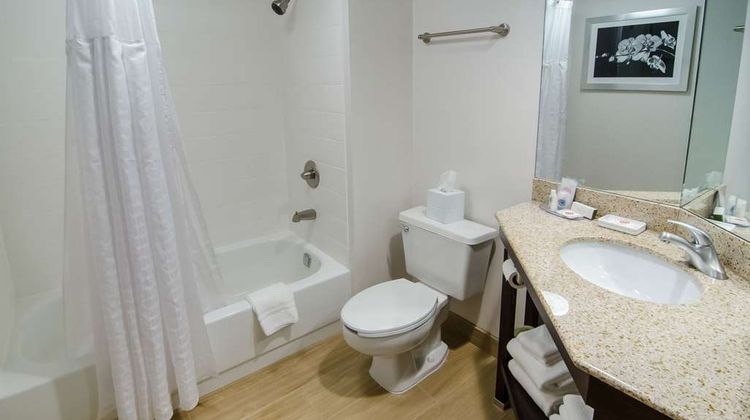 Comfort Inn Raleigh Midtown Room