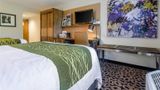 Comfort Inn Raleigh Midtown Room