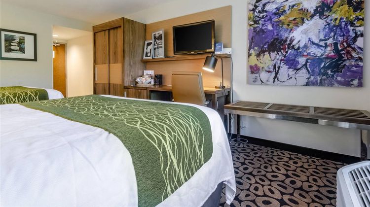 Comfort Inn Raleigh Midtown Room