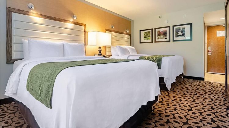 Comfort Inn Raleigh Midtown Room