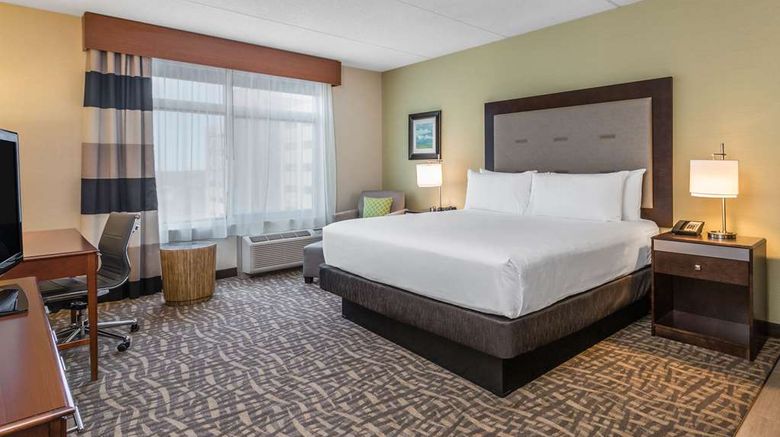 <b>Wyndham Garden Buffalo Downtown Room</b>. Images powered by <a href="https://iceportal.shijigroup.com/" title="IcePortal" target="_blank">IcePortal</a>.