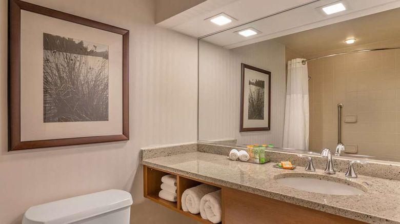 <b>Wyndham Garden Buffalo Downtown Room</b>. Images powered by <a href="https://iceportal.shijigroup.com/" title="IcePortal" target="_blank">IcePortal</a>.