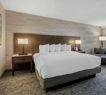 DoubleTree by Hilton Perimeter Park Room