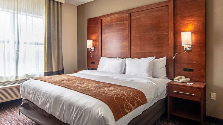 Comfort Suites Dallas Suite