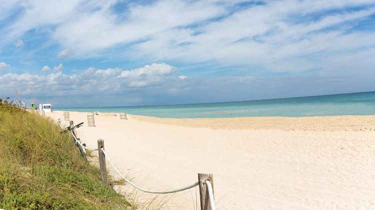 The Broadmore Miami Beach Beach