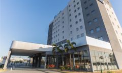 Ibis Lorena