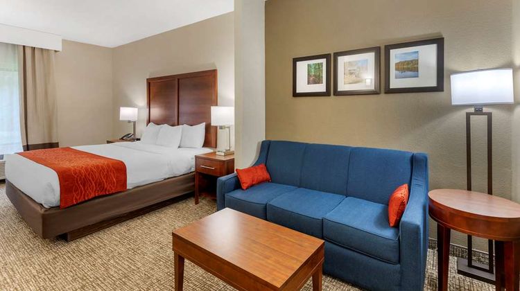Comfort Inn & Suites Canton Suite