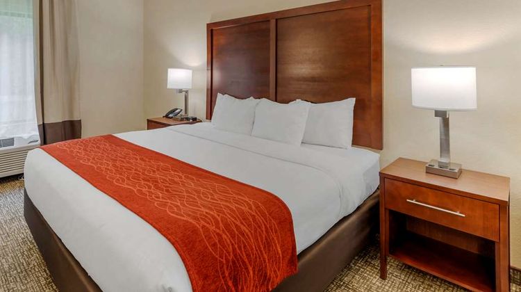 Comfort Inn & Suites Canton Suite