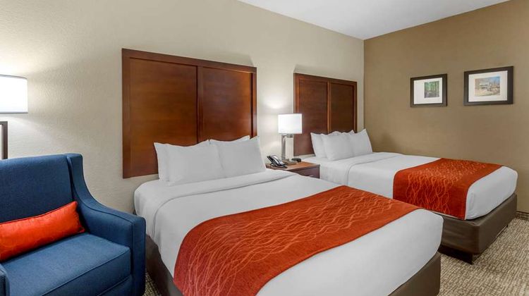 Comfort Inn & Suites Canton Room