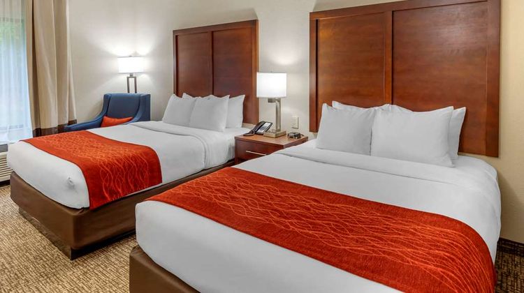 Comfort Inn & Suites Canton Room
