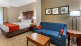 <b>Comfort Inn & Suites Canton Suite</b>. Images powered by <a href="https://iceportal.shijigroup.com/" title="IcePortal" target="_blank">IcePortal</a>.