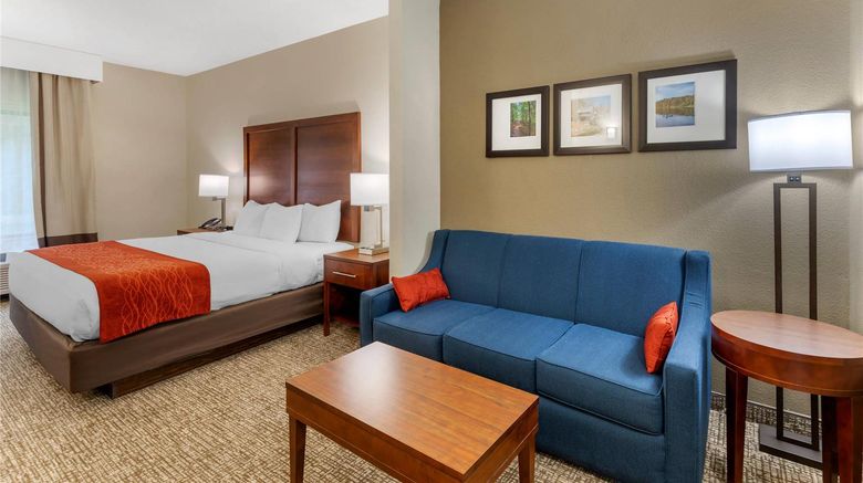 <b>Comfort Inn & Suites Canton Suite</b>. Images powered by <a href="https://iceportal.shijigroup.com/" title="IcePortal" target="_blank">IcePortal</a>.