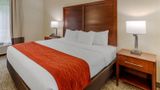 <b>Comfort Inn & Suites Canton Suite</b>. Images powered by <a href="https://iceportal.shijigroup.com/" title="IcePortal" target="_blank">IcePortal</a>.