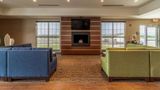 Comfort Inn & Suites-Harrisburg Airport Lobby