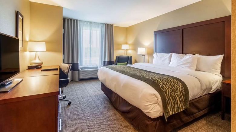 <b>Comfort Inn & Suites-Harrisburg Airport Room</b>. Images powered by <a href="https://iceportal.shijigroup.com/" title="IcePortal" target="_blank">IcePortal</a>.