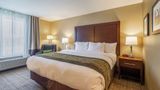 Comfort Inn & Suites-Harrisburg Airport Room