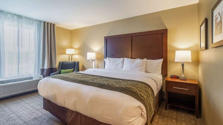 <b>Comfort Inn & Suites-Harrisburg Airport Room</b>. Images powered by <a href="https://iceportal.shijigroup.com/" title="IcePortal" target="_blank">IcePortal</a>.