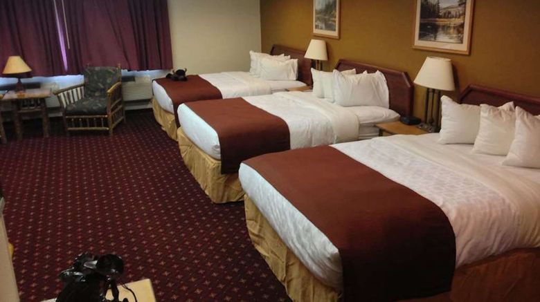 <b>AmericInn by Wyndham Cody Room</b>. Images powered by <a href="https://iceportal.shijigroup.com/" title="IcePortal" target="_blank">IcePortal</a>.