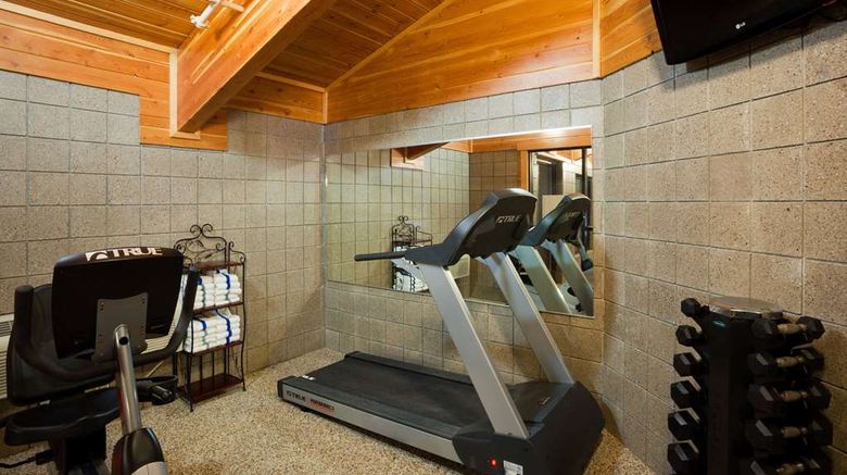 <b>AmericInn by Wyndham Thief River Falls Health</b>. Images powered by <a href="https://iceportal.shijigroup.com/" title="IcePortal" target="_blank">IcePortal</a>.