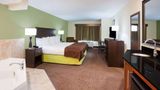 AmericInn Hotel & Suites DeWitt Suite