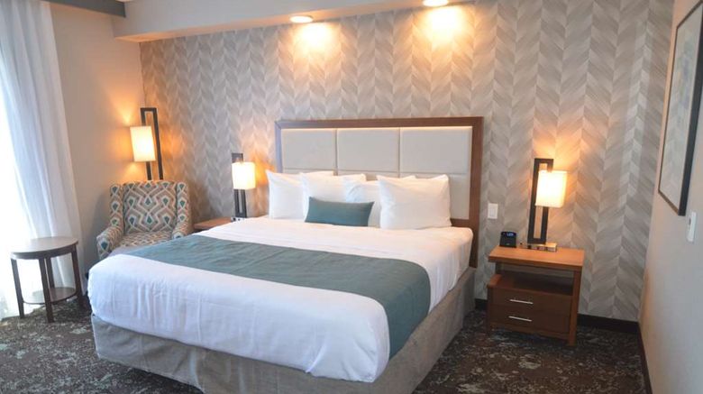 <b>Best Western Premier Ankeny Hotel Room</b>. Images powered by <a href="https://iceportal.shijigroup.com/" title="IcePortal" target="_blank">IcePortal</a>.