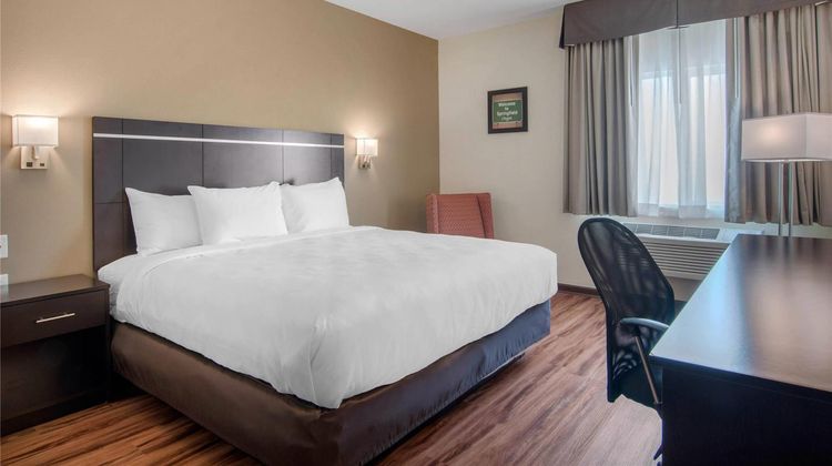 Econo Lodge Inn & Suites Room