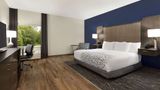 La Quinta Inn & Suites, Rock Hill Room