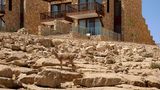 <b>Beresheet Hotel By Isrotel Other</b>. Images powered by <a href="https://iceportal.shijigroup.com/" title="IcePortal" target="_blank">IcePortal</a>.