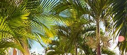 Travellers Beach Resort Exterior