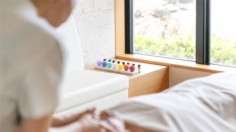 <b>Hyatt Regency Seragaki Island Okinawa Spa</b>. Images powered by <a href="https://iceportal.shijigroup.com/" title="IcePortal" target="_blank">IcePortal</a>.