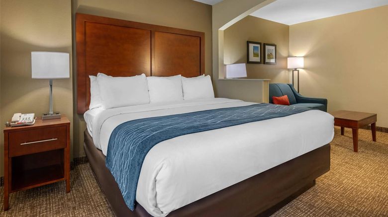 <b>Comfort Inn Ocala Room</b>. Images powered by <a href="https://iceportal.shijigroup.com/" title="IcePortal" target="_blank">IcePortal</a>.