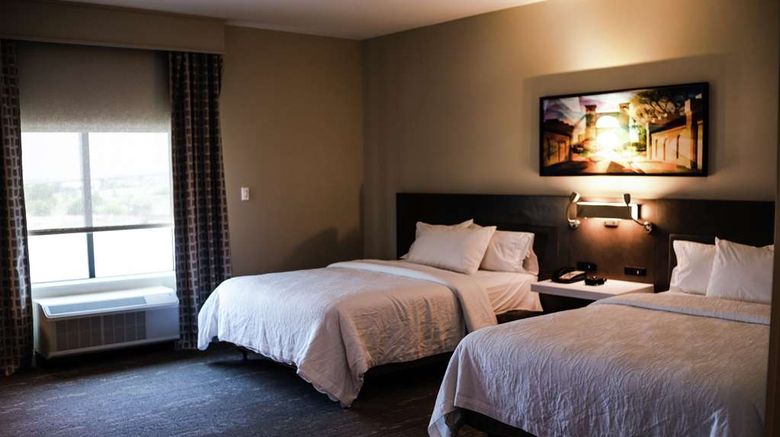 <b>Hilton Garden Inn Waco Room</b>. Images powered by <a href="https://iceportal.shijigroup.com/" title="IcePortal" target="_blank">IcePortal</a>.