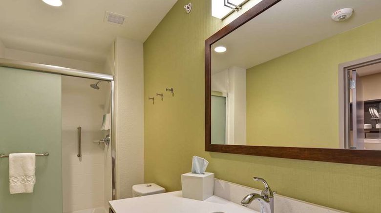 <b>Home2 Suites by Hilton Mayo Clinic Area Room</b>. Images powered by <a href="https://iceportal.shijigroup.com/" title="IcePortal" target="_blank">IcePortal</a>.