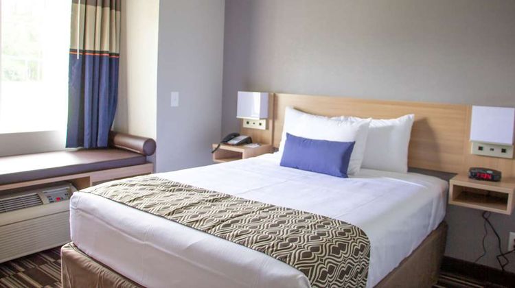 Microtel Inn & Suites by Wyndham Room