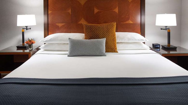 <b>The Paramount Hotel Room</b>. Images powered by <a href="https://iceportal.shijigroup.com/" title="IcePortal" target="_blank">IcePortal</a>.