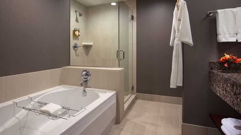 <b>The Paramount Hotel Room</b>. Images powered by <a href="https://iceportal.shijigroup.com/" title="IcePortal" target="_blank">IcePortal</a>.