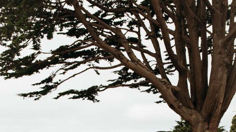 <b>Sea Otter Inn Exterior</b>. Images powered by <a href="https://iceportal.shijigroup.com/" title="IcePortal" target="_blank">IcePortal</a>.