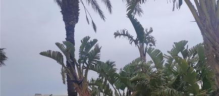 Best Western Hotel Nettuno Exterior