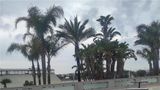 Best Western Hotel Nettuno Exterior