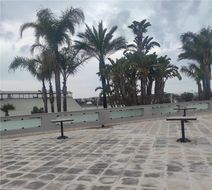Best Western Hotel Nettuno Exterior