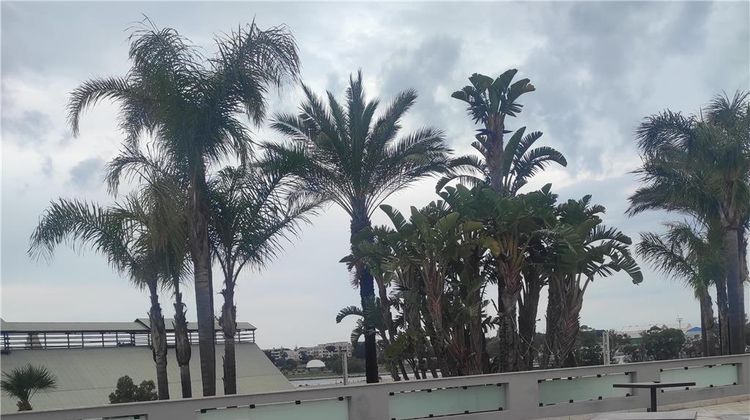 Best Western Hotel Nettuno Exterior