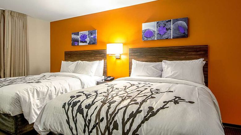 <b>Sleep Inn Geismar Room</b>. Images powered by <a href="https://iceportal.shijigroup.com/" title="IcePortal" target="_blank">IcePortal</a>.