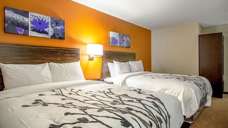 <b>Sleep Inn Geismar Room</b>. Images powered by <a href="https://iceportal.shijigroup.com/" title="IcePortal" target="_blank">IcePortal</a>.