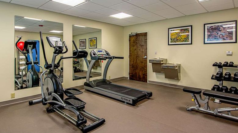 <b>Sleep Inn Geismar Health</b>. Images powered by <a href="https://iceportal.shijigroup.com/" title="IcePortal" target="_blank">IcePortal</a>.