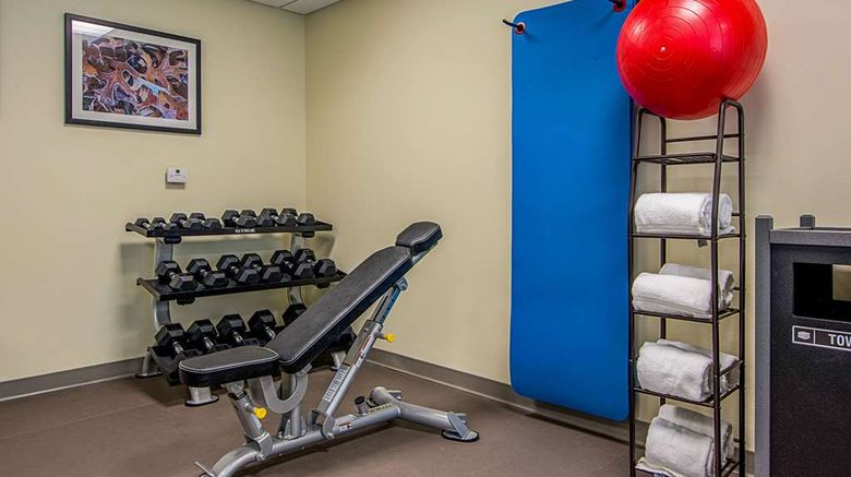 <b>Sleep Inn Geismar Health</b>. Images powered by <a href="https://iceportal.shijigroup.com/" title="IcePortal" target="_blank">IcePortal</a>.